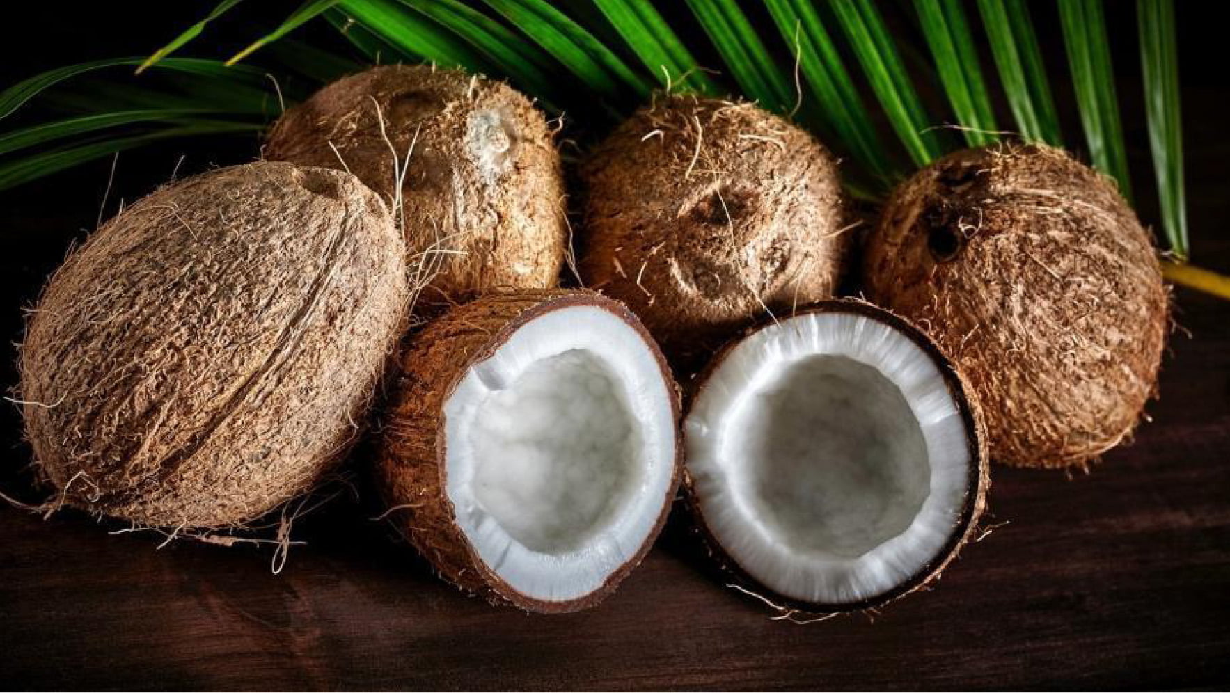 Tesoro egipcio sonrojo Da água à polpa: coco sacia e melhora ação do intestino; veja 6 benefícios  - Abeso